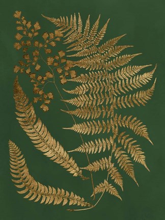 Framed Gilded Ferns I Print