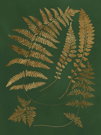 Framed Gilded Ferns III Print