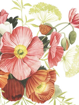 Framed Blossom Solstice I Print