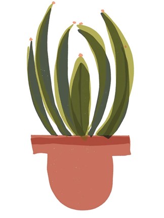 Framed Mod Cactus IV Print