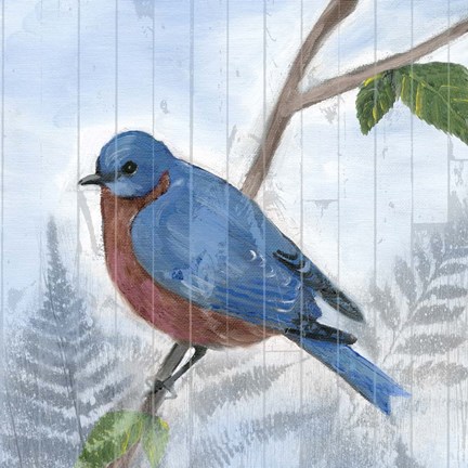 Framed Eastern Songbird IV Print