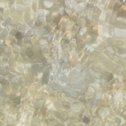 Framed Shell Squares III Print