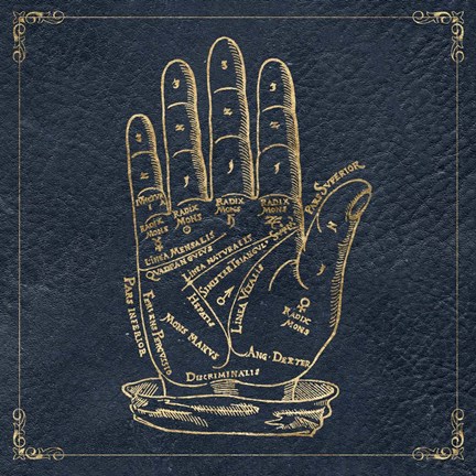 Framed Mystic Night I Print