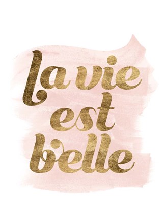 Framed La Vie in Pink III Print