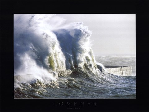 Framed Lomener Print