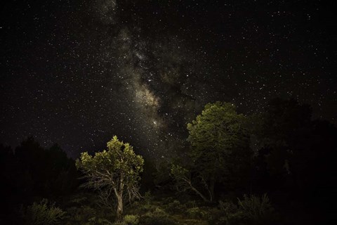 Framed Stargazer 2 Print