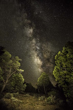 Framed Stargazer 4 Print