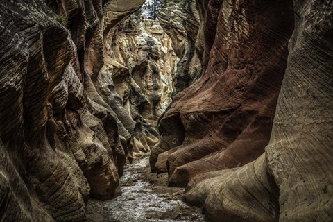 Framed Slot Canyon Utah 4 Print