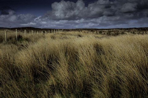 Framed High Meaddow Print