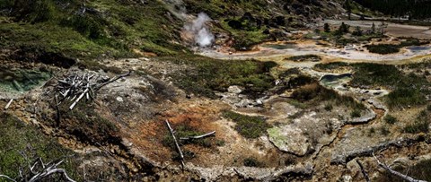 Framed Painted Pots Print