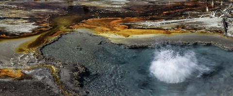 Framed Devils Hot Pot Print