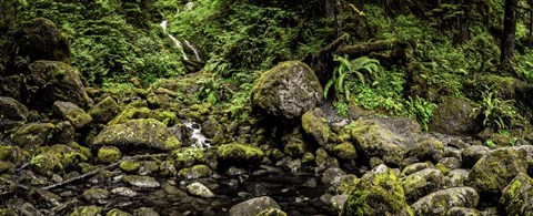 Framed Bunch Falls Print