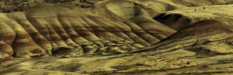 Framed Painted Hills Print