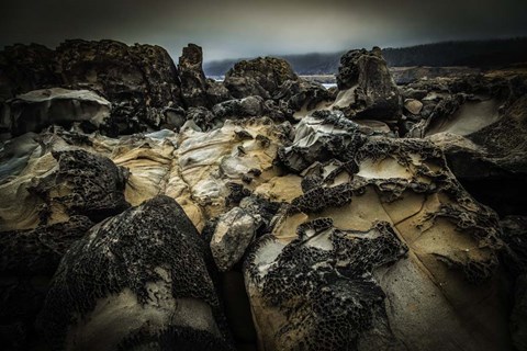 Framed Salt Point Print