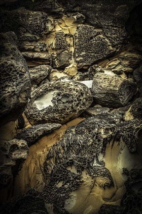 Framed Salt Point 4 Print