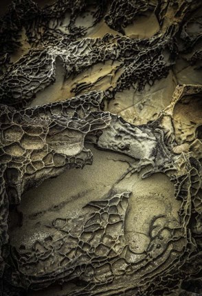 Framed Salt Point 5 Print