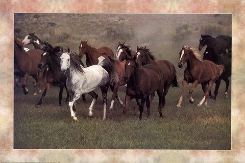 Framed Wild Horses Print