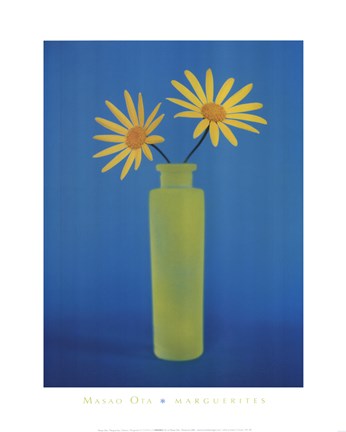 Framed Daisies Print