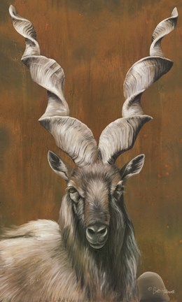 Framed Mighty Markhor Print