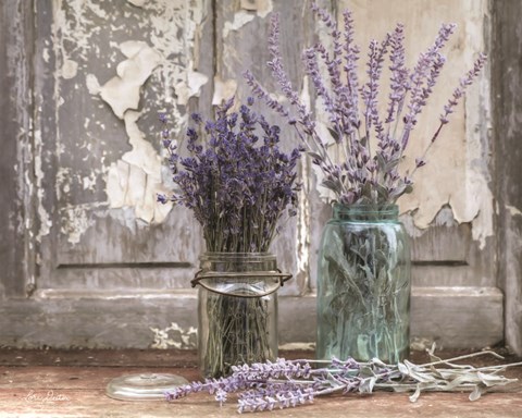 Framed Abundance of Beauty Print