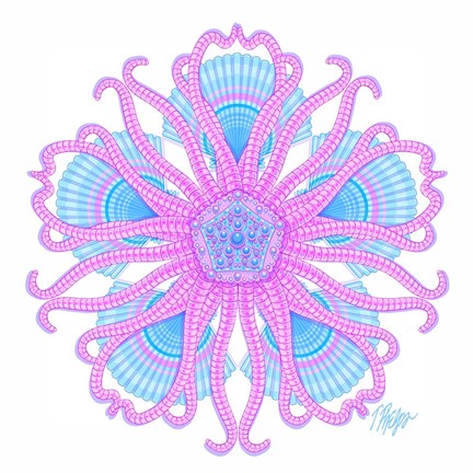 Framed Brittle Star Scallop Mandala Print