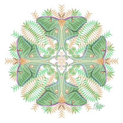 Framed Fern Forest Luna Moth Mandala Print