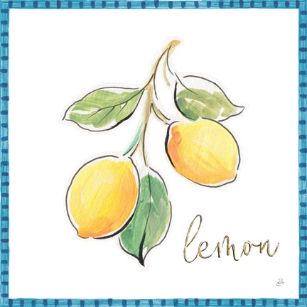 Framed Mediterranean Breeze XIV Print