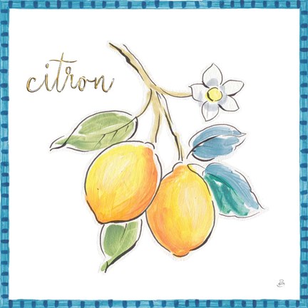 Framed Mediterranean Breeze XIII Print