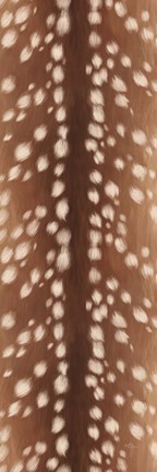 Framed Sweet Fawn II Print