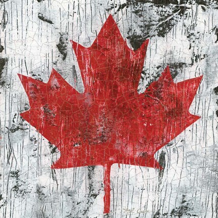 Framed Canada Maple Leaf I Print