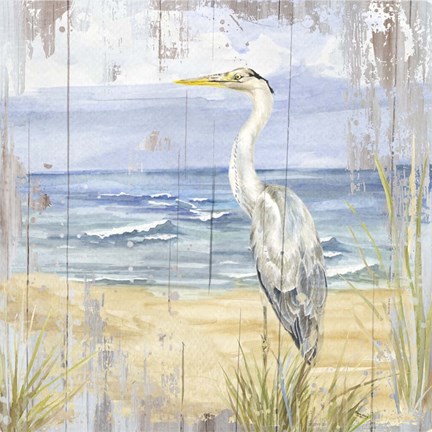 Framed Birds of the Coast Rustic II Print