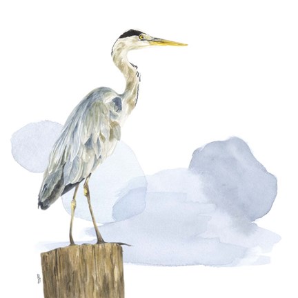 Framed Birds of the Coast on White I Print