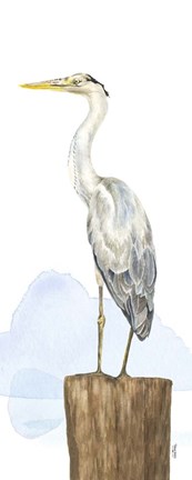 Framed Birds of the Coast Panel II Print