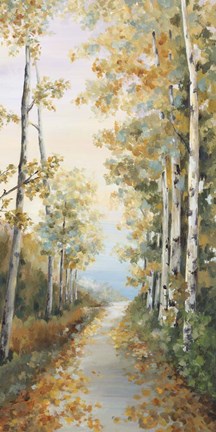 Framed Path in the Forest Print