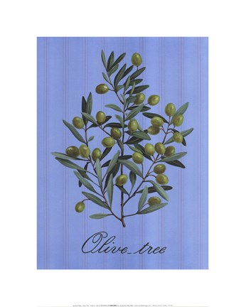 Framed Olive Tree Print