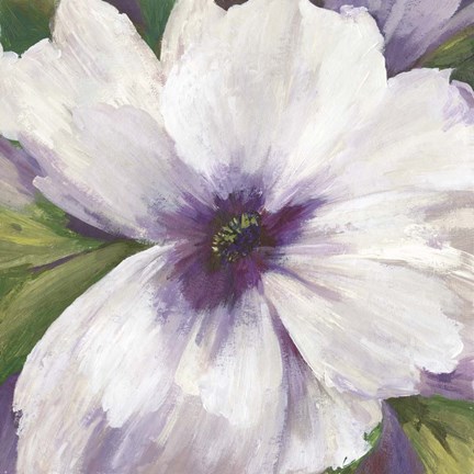 Framed Violet Orchid II Print