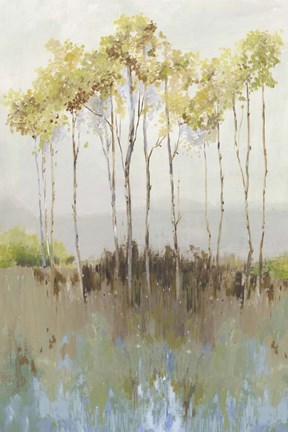 Framed Peaceful Woodland Print