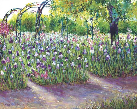 Framed Iris in Bloom Print