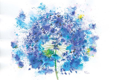 Framed Blue Allium Print