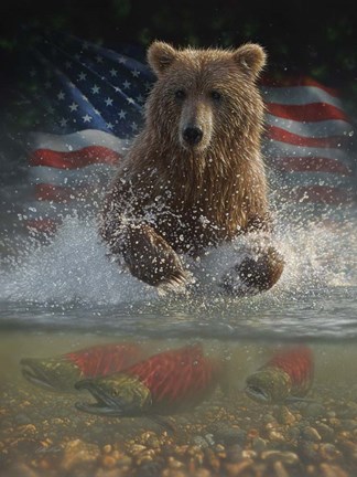 Framed Brown Bear Fishing America Print