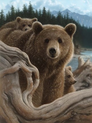Framed Brown Bears - Backpacking Print