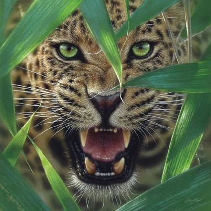 Framed Jaguar - Ambush Print
