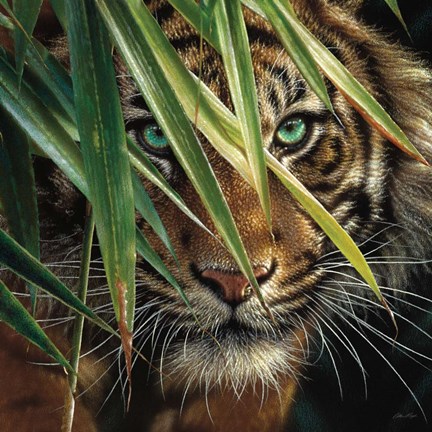 Framed Tiger Eyes Print