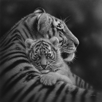 Framed Tiger Mother and Cub - Cherished - B&amp;W Print