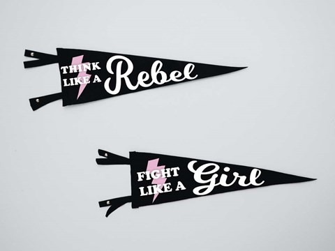 Framed Pennants Print