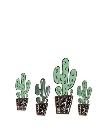 Framed Cactus Set Print