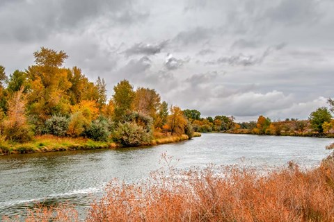 Framed Snake River Autumn V Print