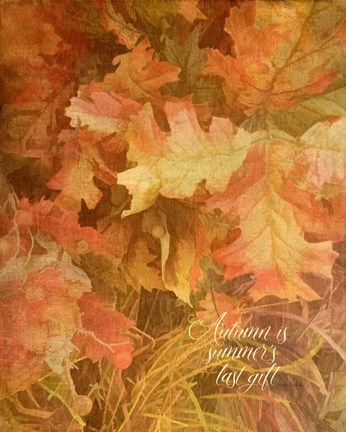 Framed Summer&#39;s Gift Print