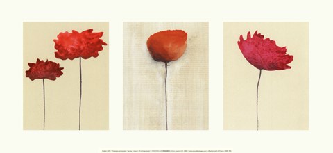 Framed Spring Triptych Print