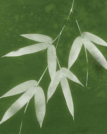 Framed Green Spa Bamboo I Print